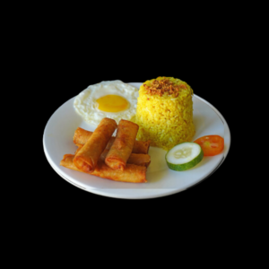 ShangSilog